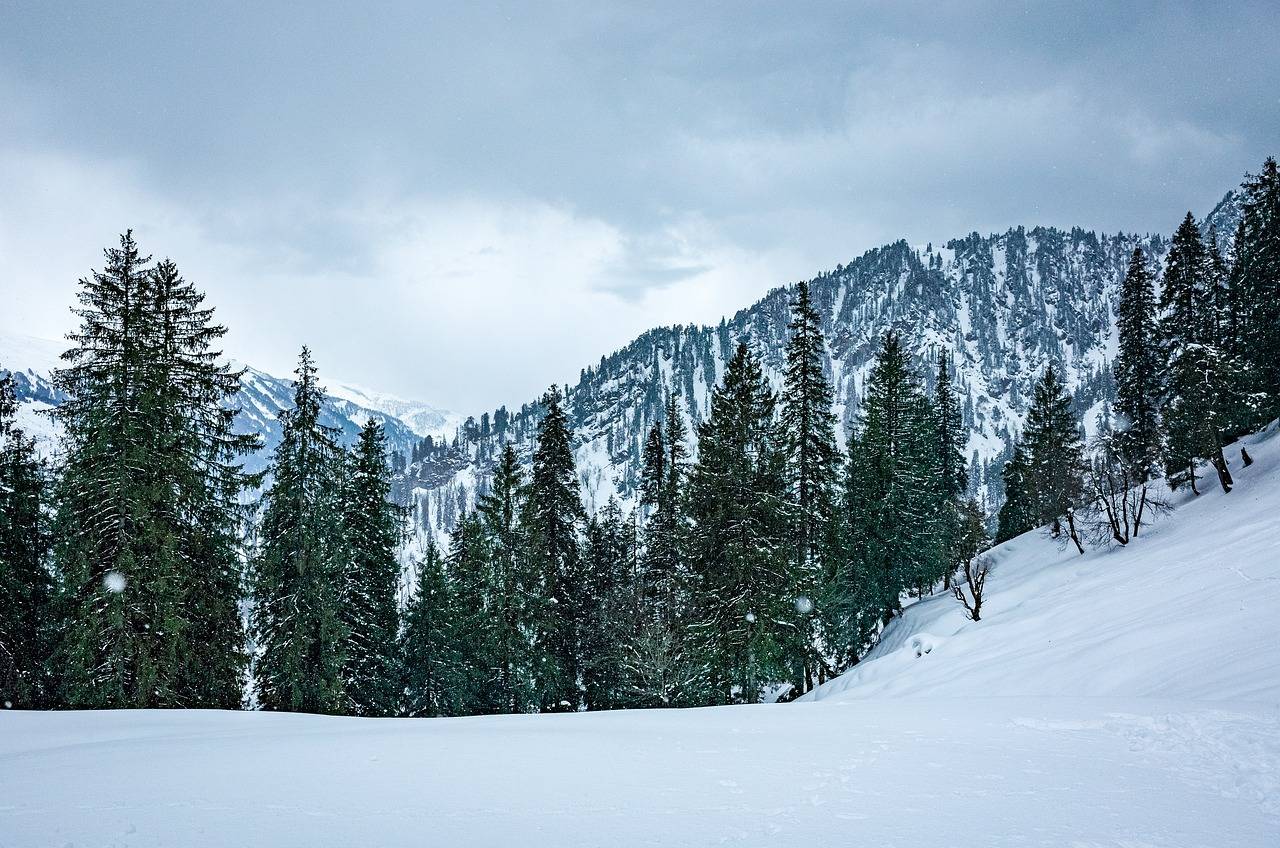 Himachal Honeymoon Tour