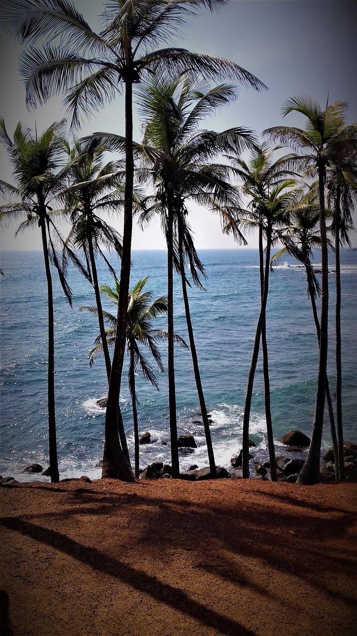 Srilanka Tour
